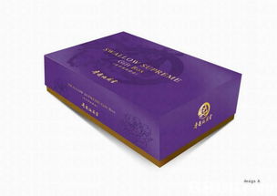 信號工坊 全方位視覺設計服務，助力品牌脫穎而出